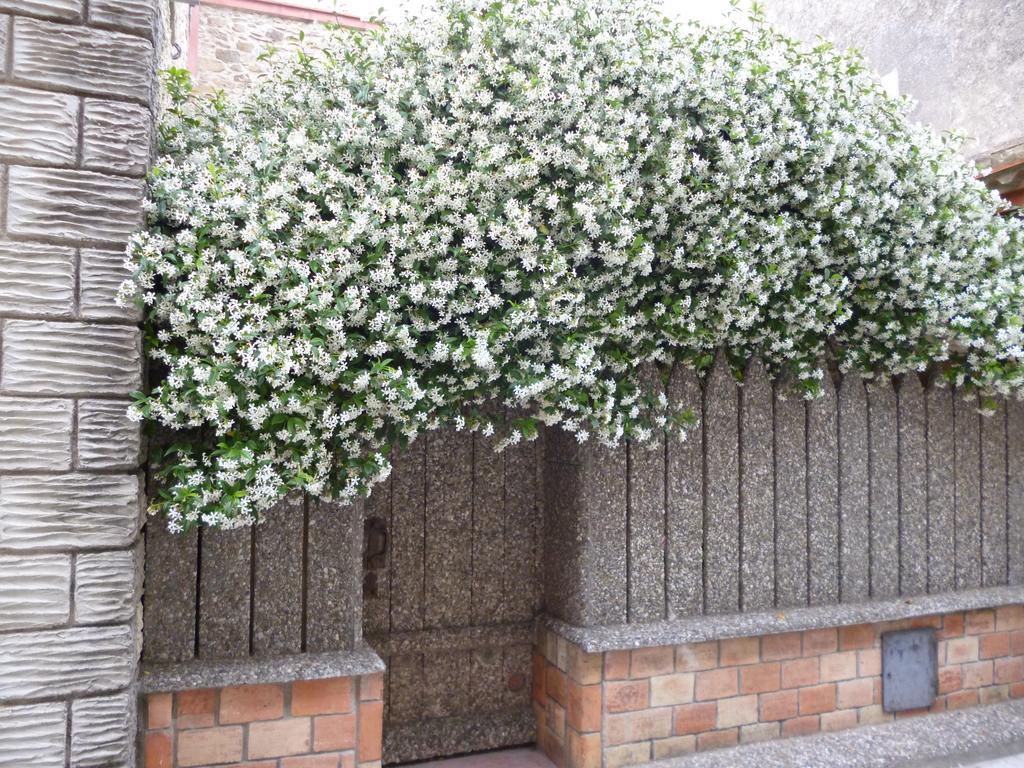 Chambres D'Hotes La Rose Des Vents Ginestas Eksteriør bilde