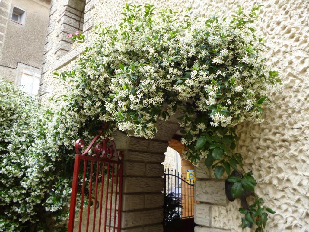 Chambres D'Hotes La Rose Des Vents Ginestas Eksteriør bilde